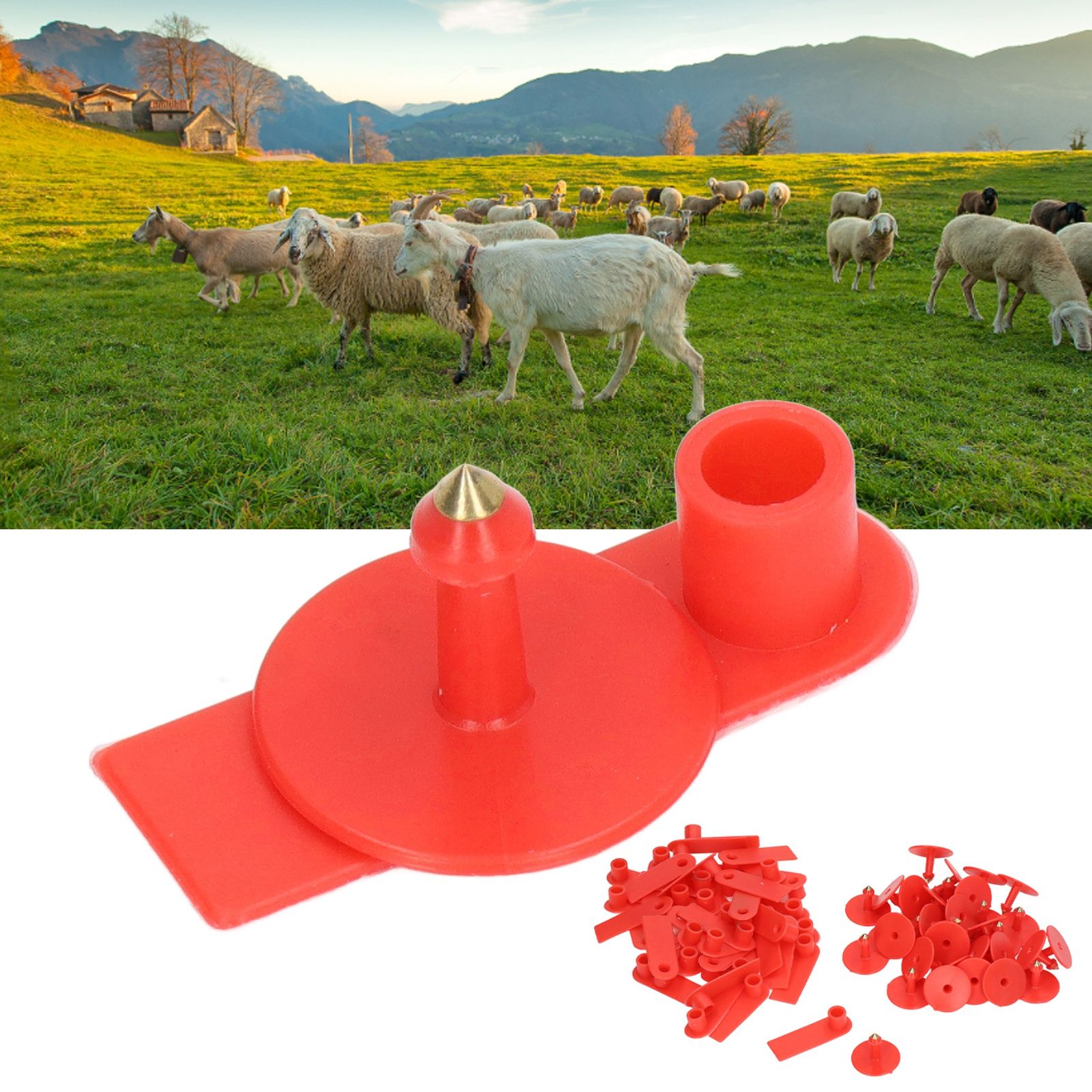 Blank Livestock Ear Tag Handwritable Prevent Shedding Animal Ear Label for Pig view 12