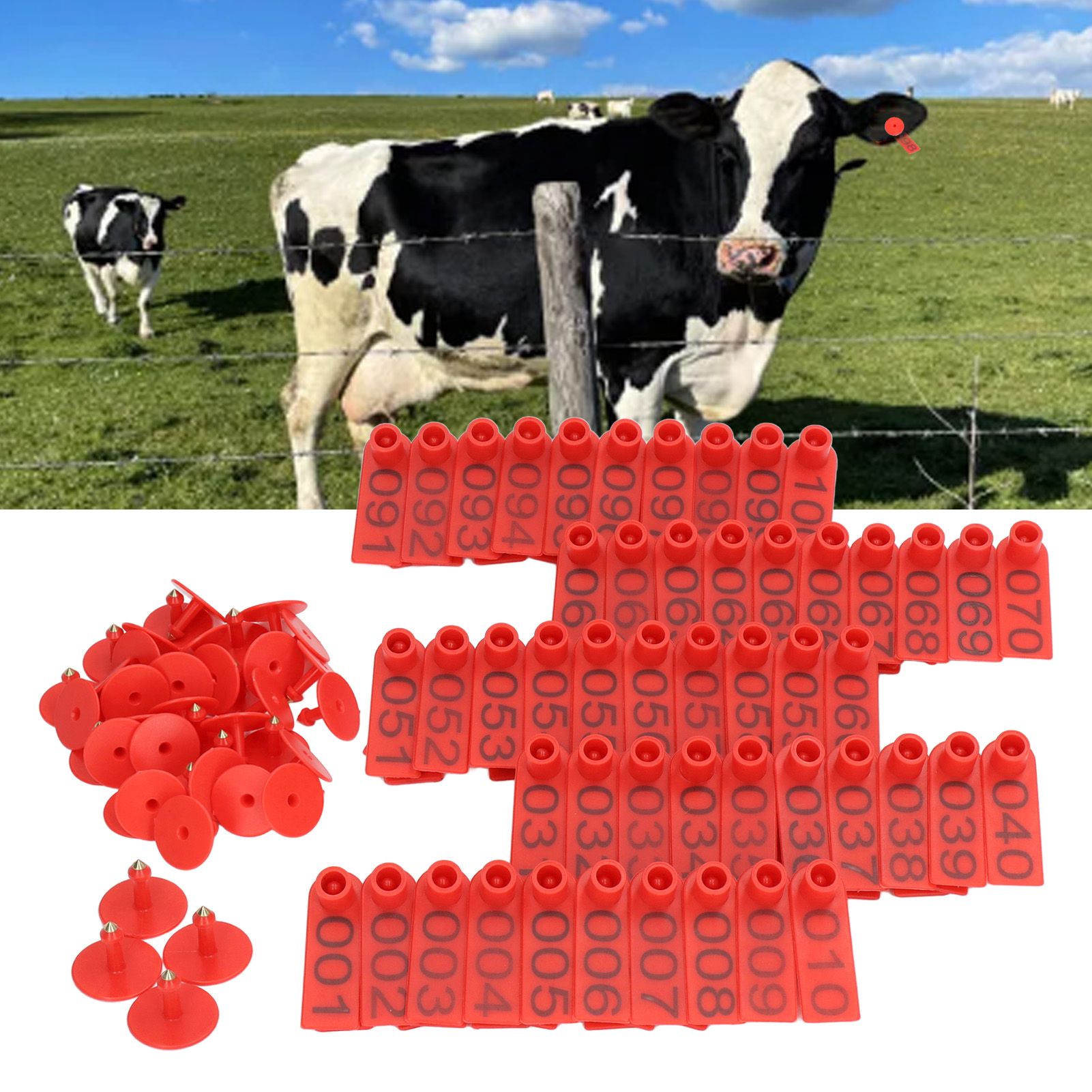 100 Sets Numbered Cattle Ear Tags Accurate Livestock Identification Card for view 11