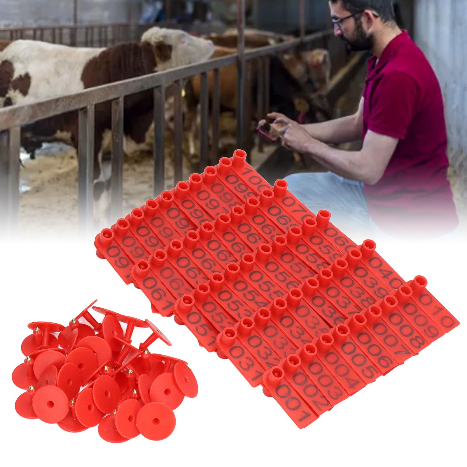 100 Sets Numbered Cattle Ear Tags Accurate Livestock Identification Card for view 12