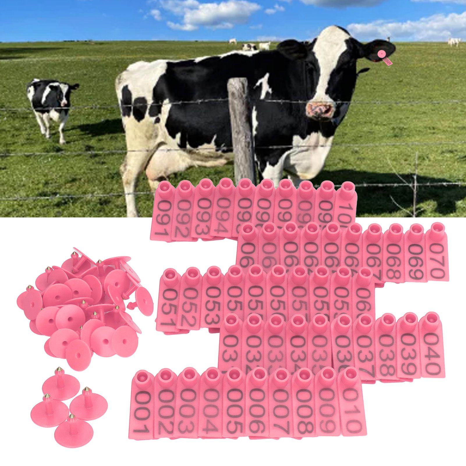 100 Sets Numbered Cattle Ear Tags Accurate Livestock Identification Card for view 11