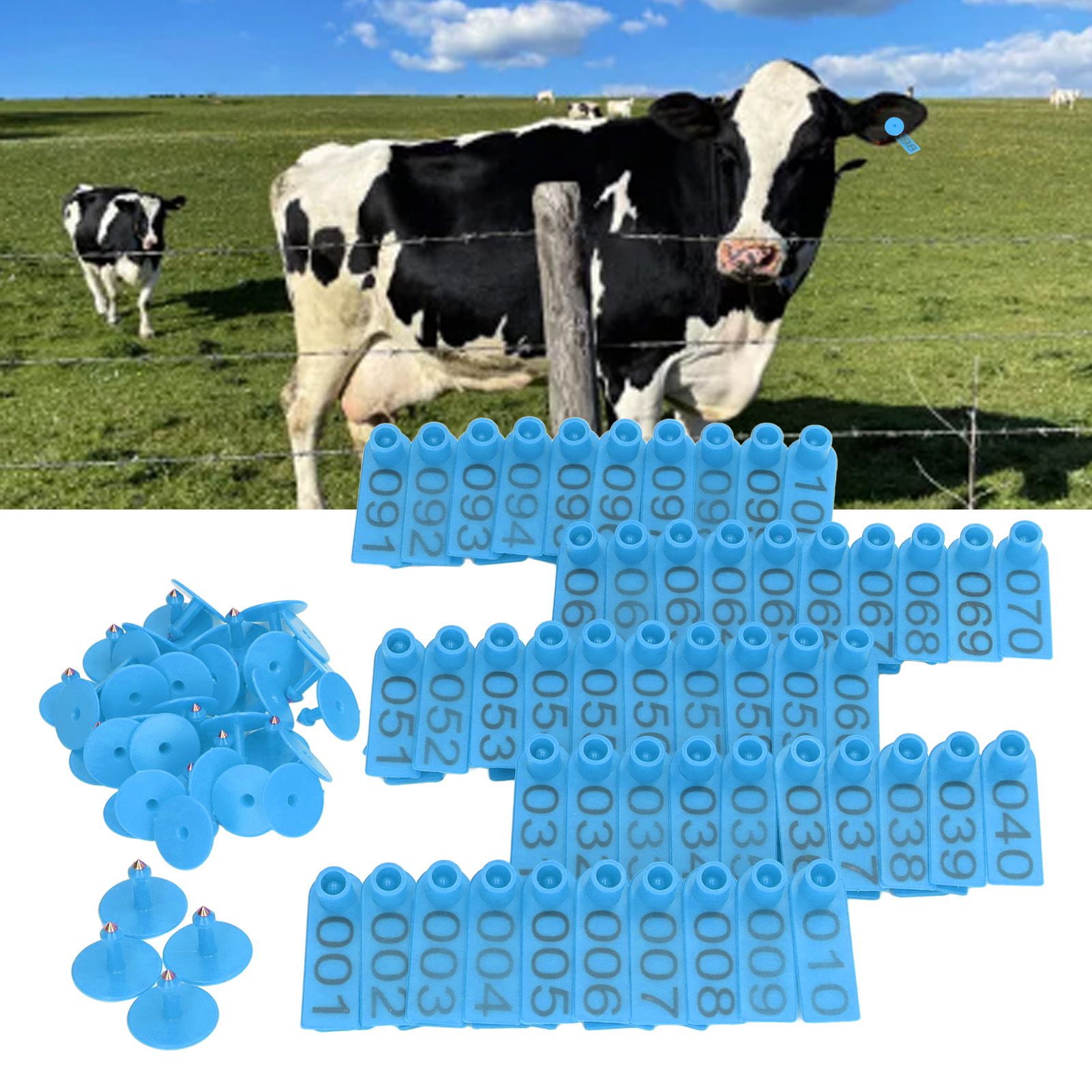 100 Sets Numbered Cattle Ear Tags Accurate Livestock Identification Card for view 11