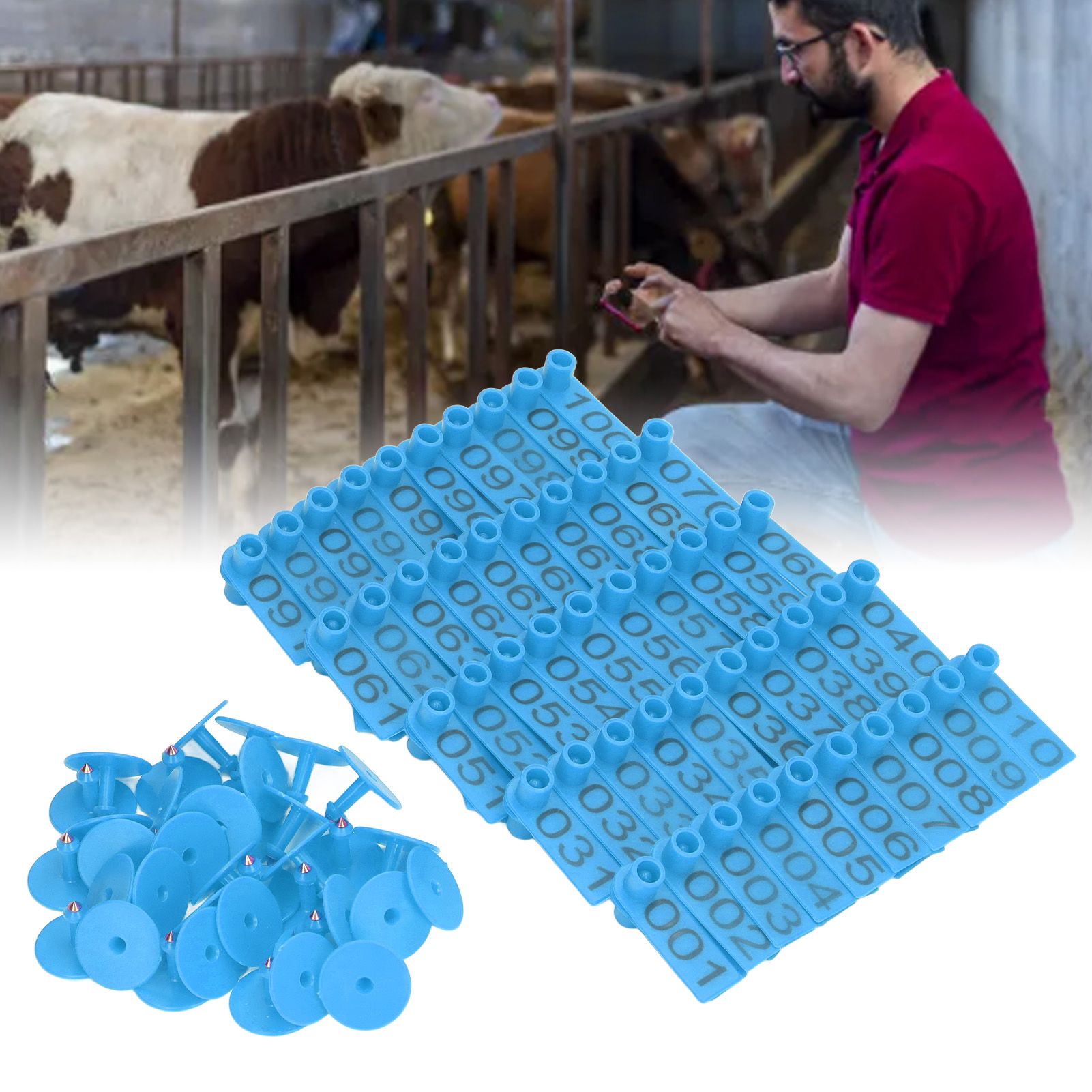 100 Sets Numbered Cattle Ear Tags Accurate Livestock Identification Card for view 12