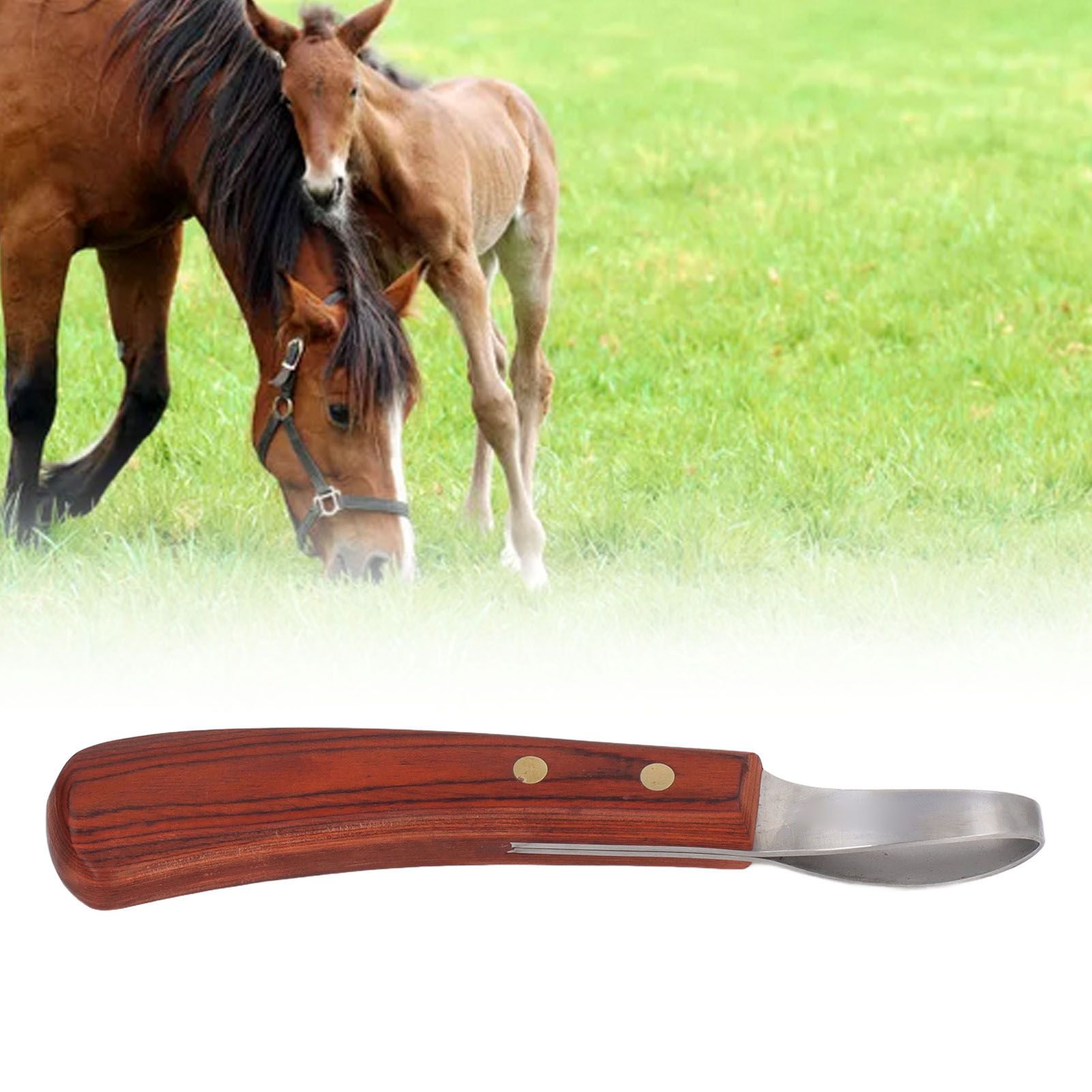 Hoof Trimmer Shears Stainless Steel Blade Rubber Wood Handle Multipurpose view 11