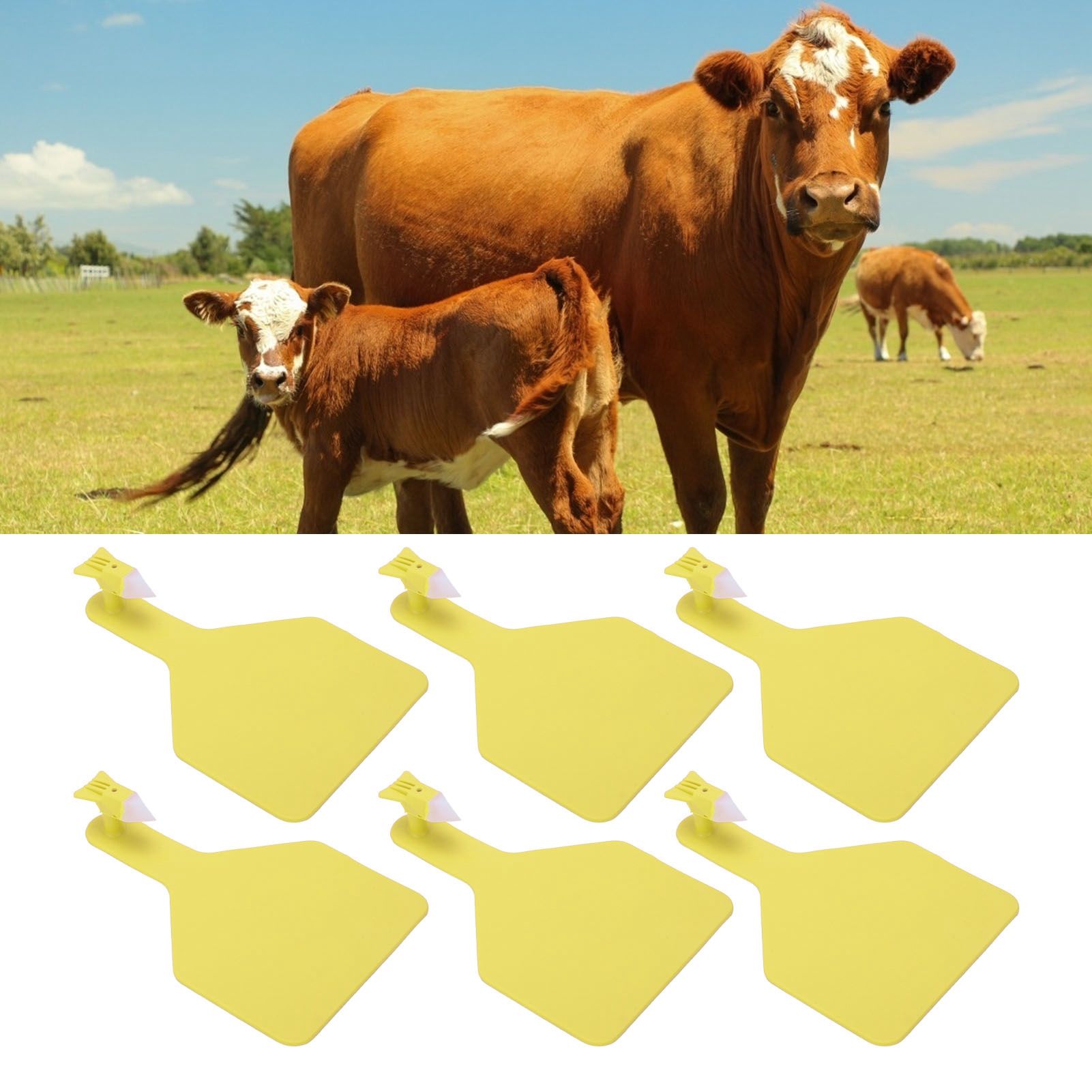 100pcs Blank Livestock Ear Tag Thickened TPU Reusable Animal Ear Label for view 12