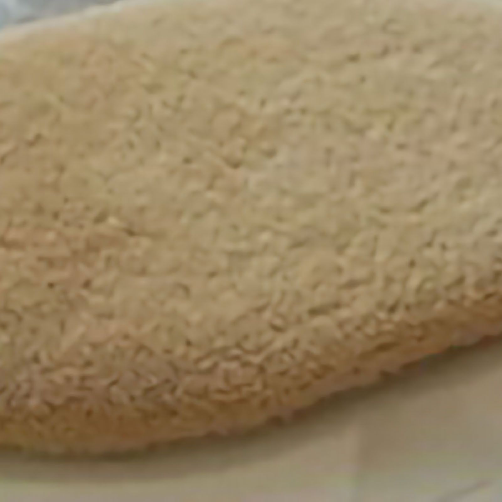 Door Mat Oval Slip Proof Indoor Door Carpet Moisture Absorption Soft view 3