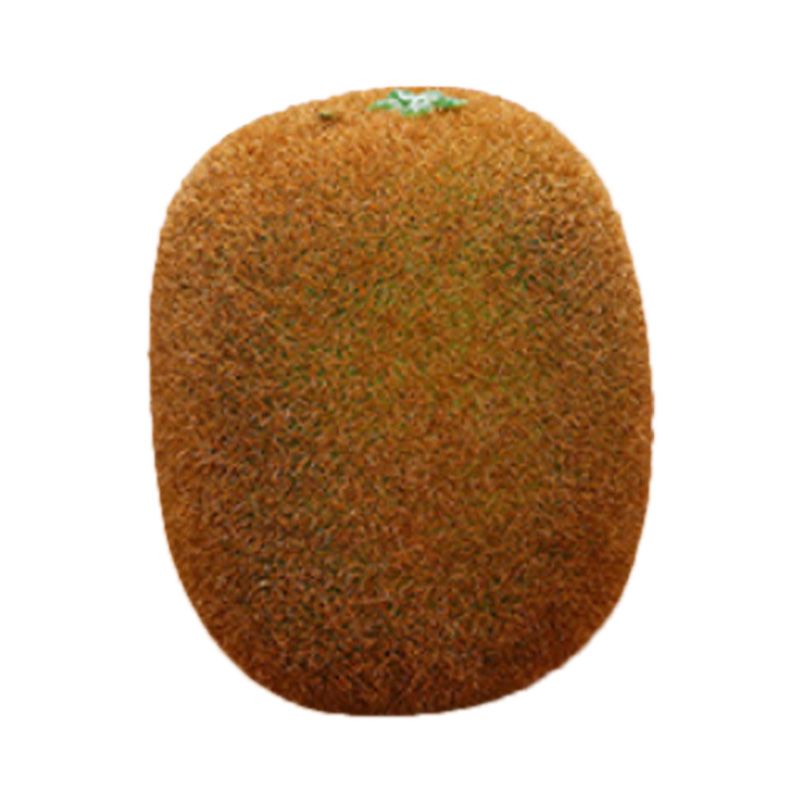 Artificial Fruit Simulation Model Foam Fake Fruit Kindergarten Teaching Aids