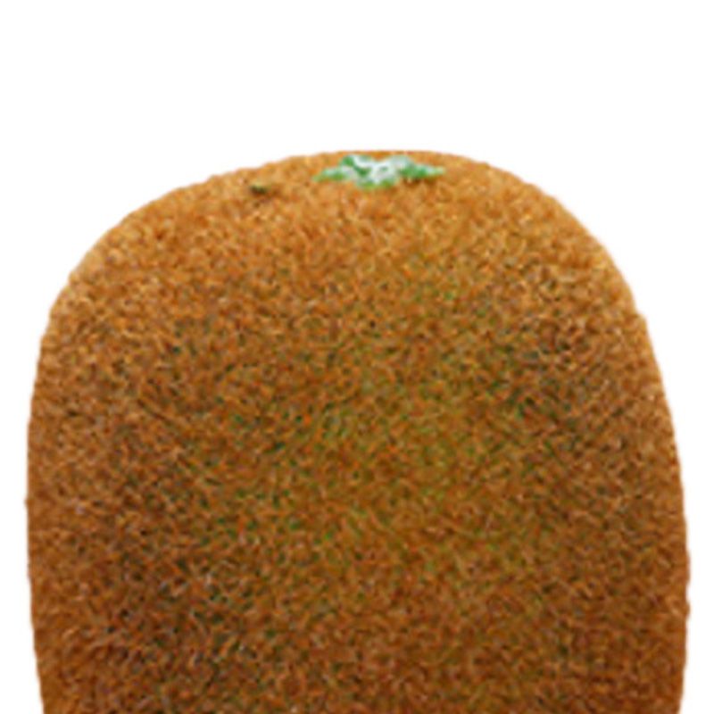 Artificial Fruit Simulation Model Foam Fake Fruit Kindergarten Teaching Aids view 2