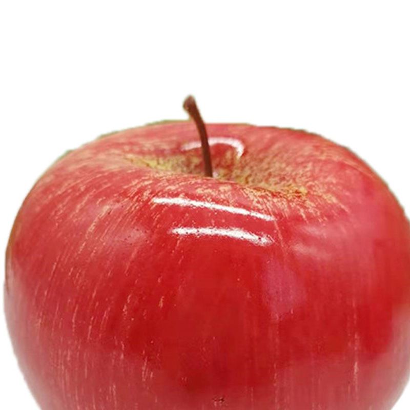 Artificial Fruit Simulation Model Foam Fake Fruit Kindergarten Teaching Aids view 2