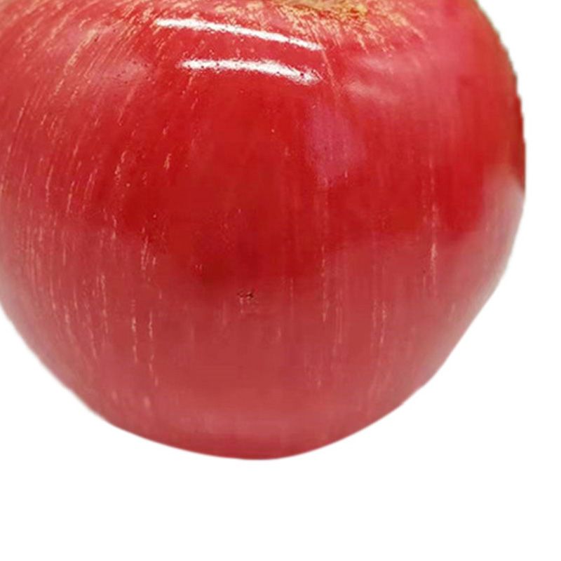 Artificial Fruit Simulation Model Foam Fake Fruit Kindergarten Teaching Aids view 3