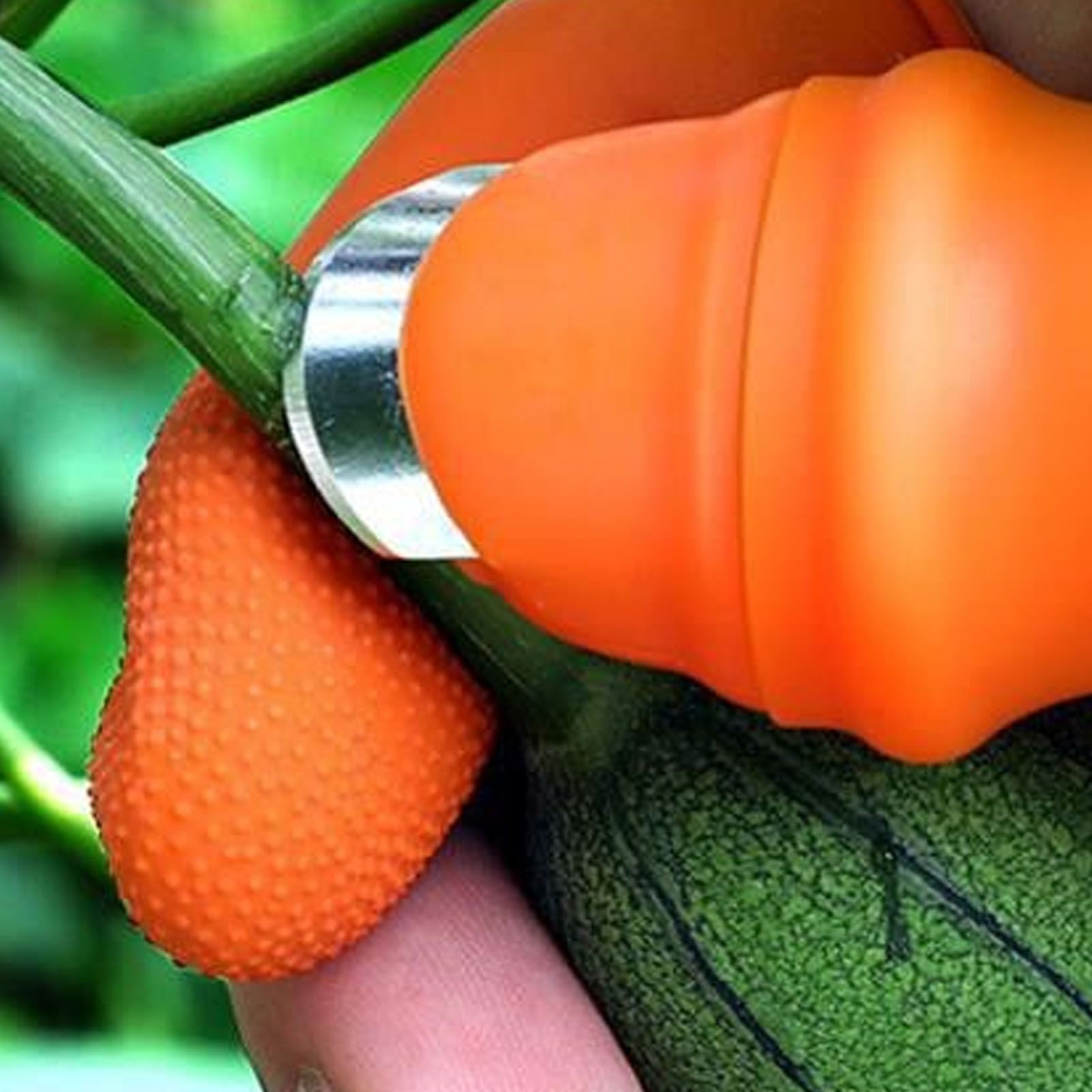 Silicone Thumb Knife Stainless Steel Thumb Knife Picker for Peel Pick view 11