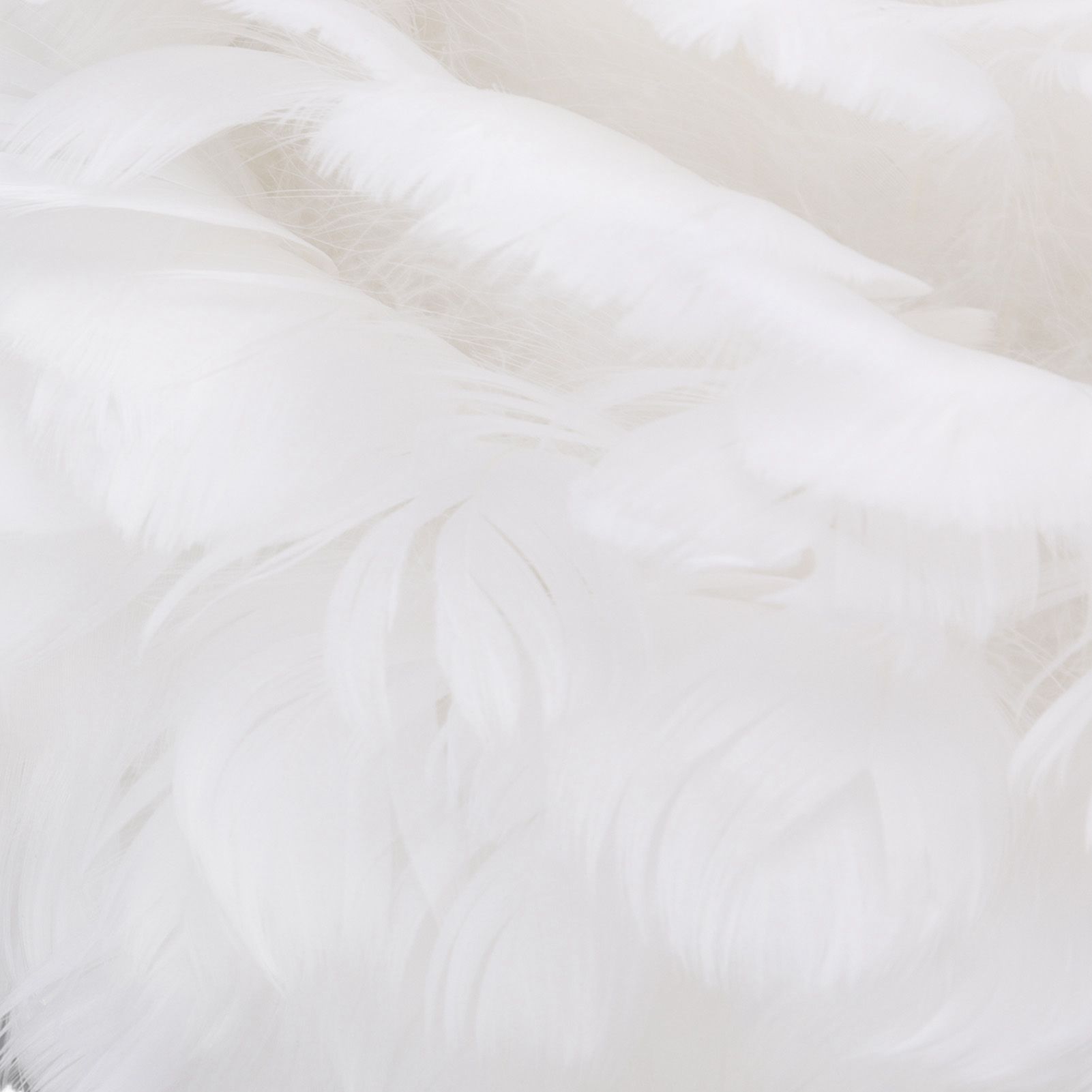 Feather Table Lamp Adjustable Color Brightness Rechargeable Touch Control view 15