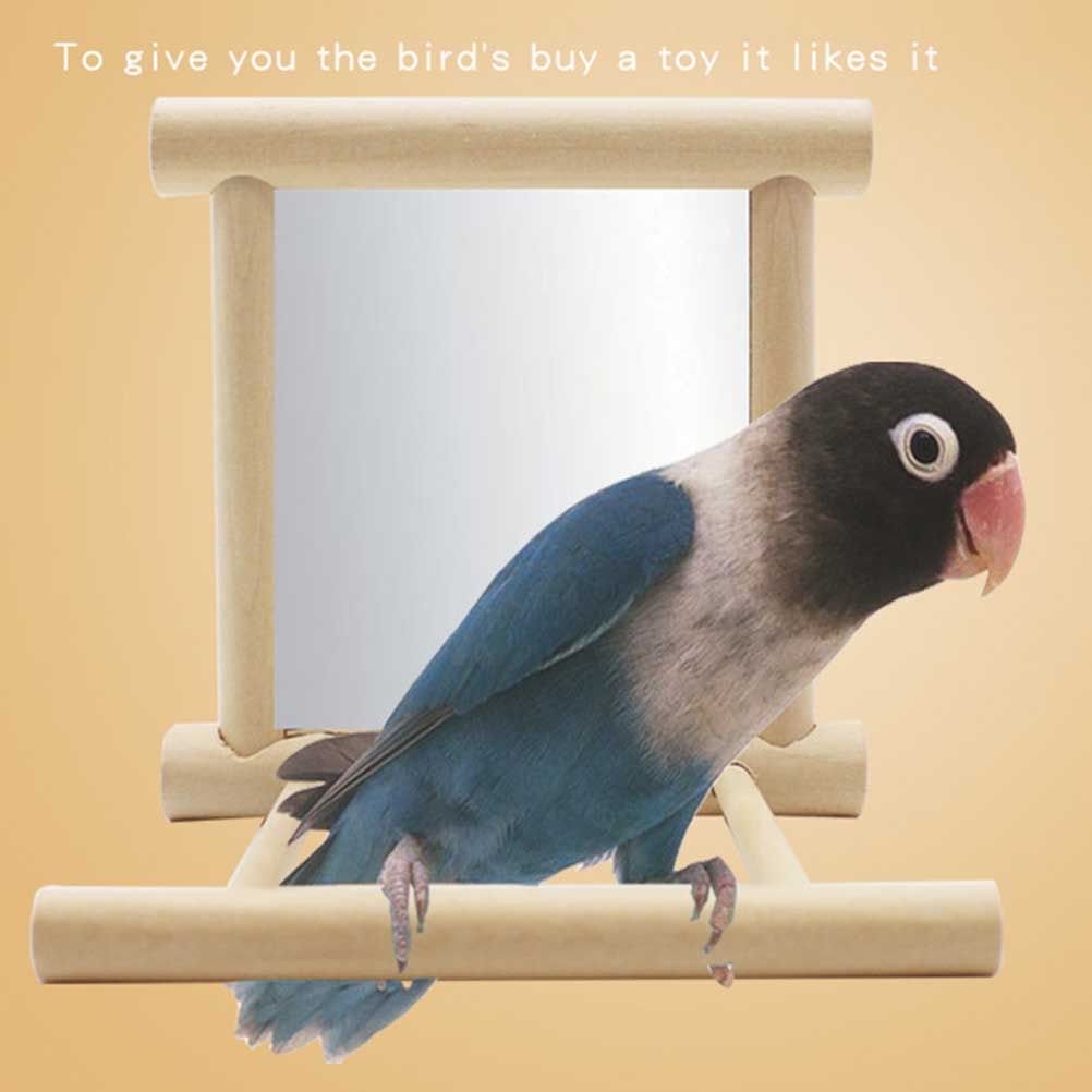 Stand Perch with Mirror for Parrot Pet Accessories Wooden Decorations view 6