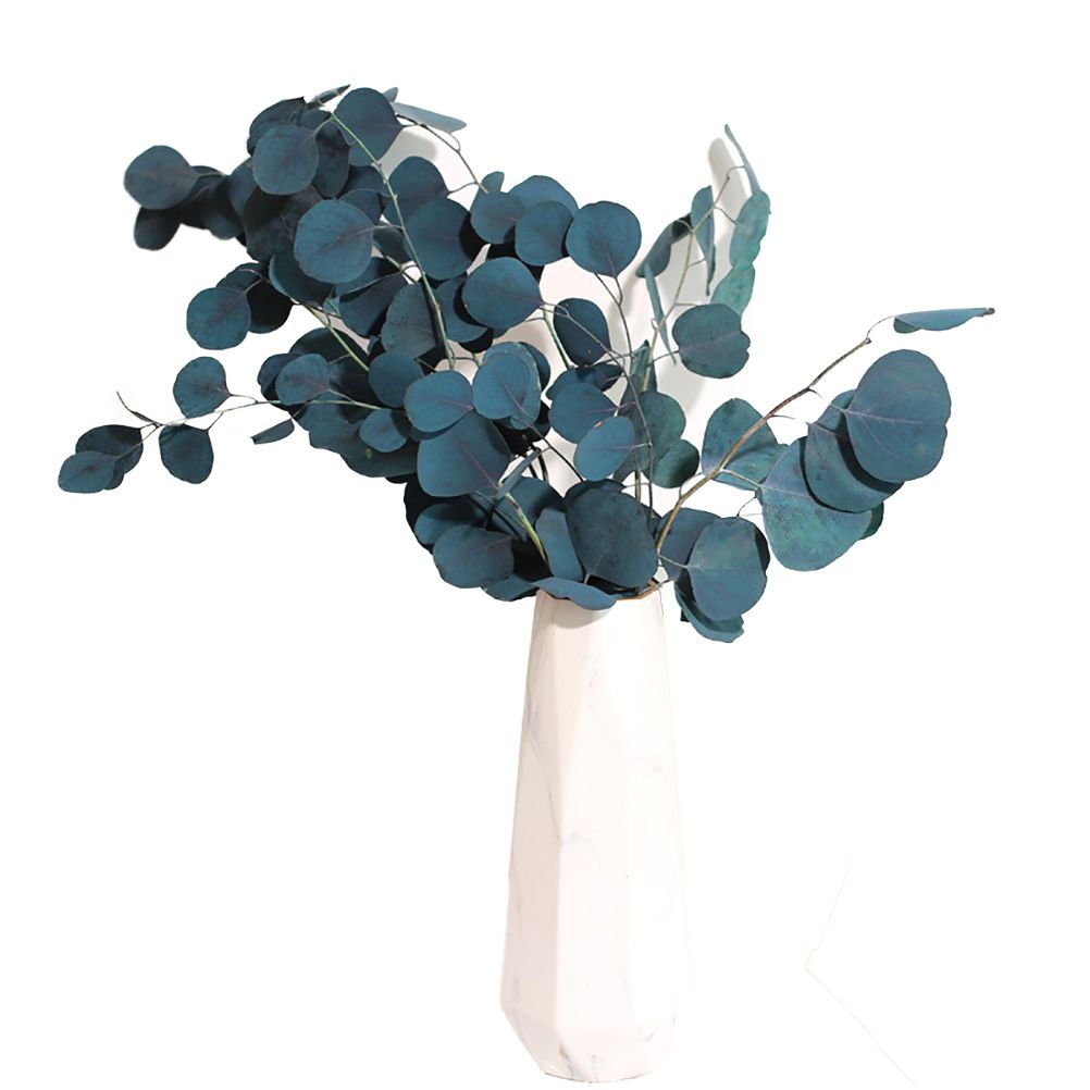 Eucalyptus Dried Flowers Eternal Durability Dried Flowers Bouquet Decoration