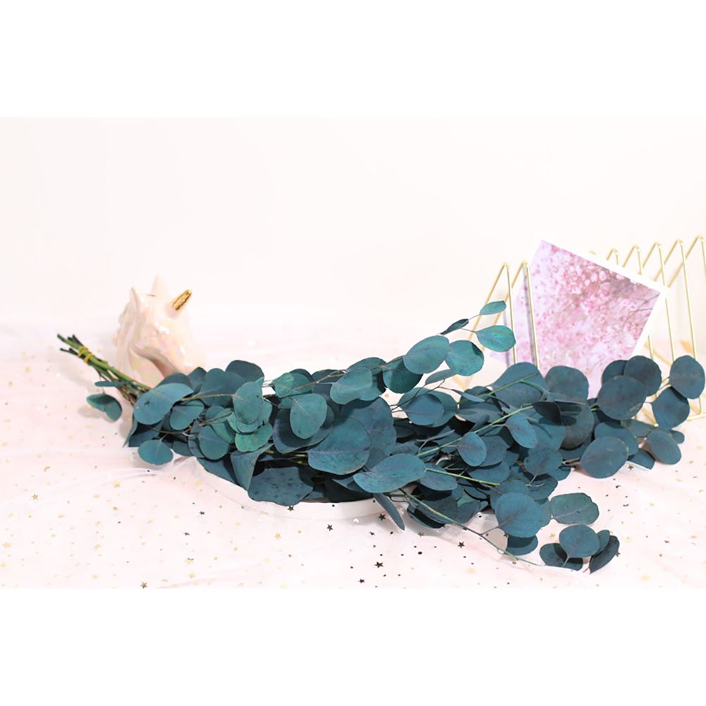 Eucalyptus Dried Flowers Eternal Durability Dried Flowers Bouquet Decoration view 2