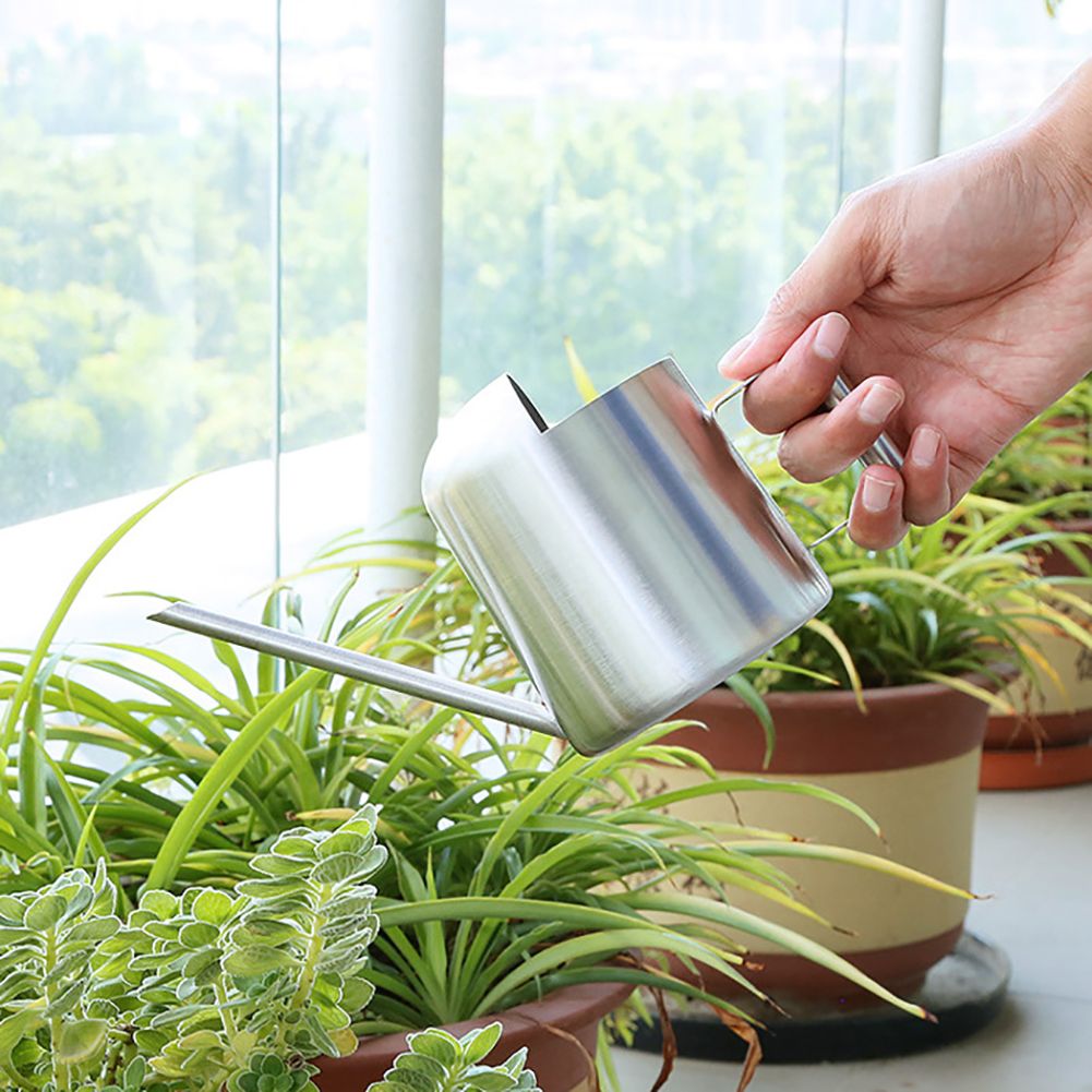 300ml Stainless Steel Watering Kettle with Semi Open Top Indoor Watering Pot view 2