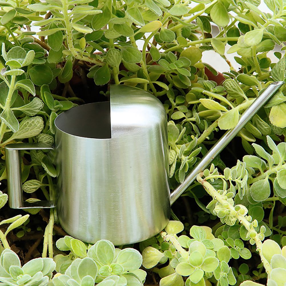 300ml Stainless Steel Watering Kettle with Semi Open Top Indoor Watering Pot view 12