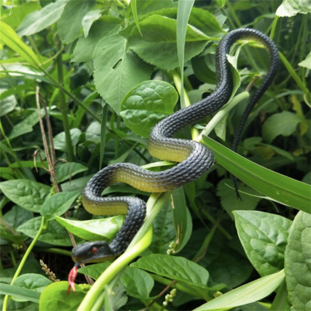 Long Realistic Garden Rubber Snake Fake Snakes for Fool's Day Halloween view 6