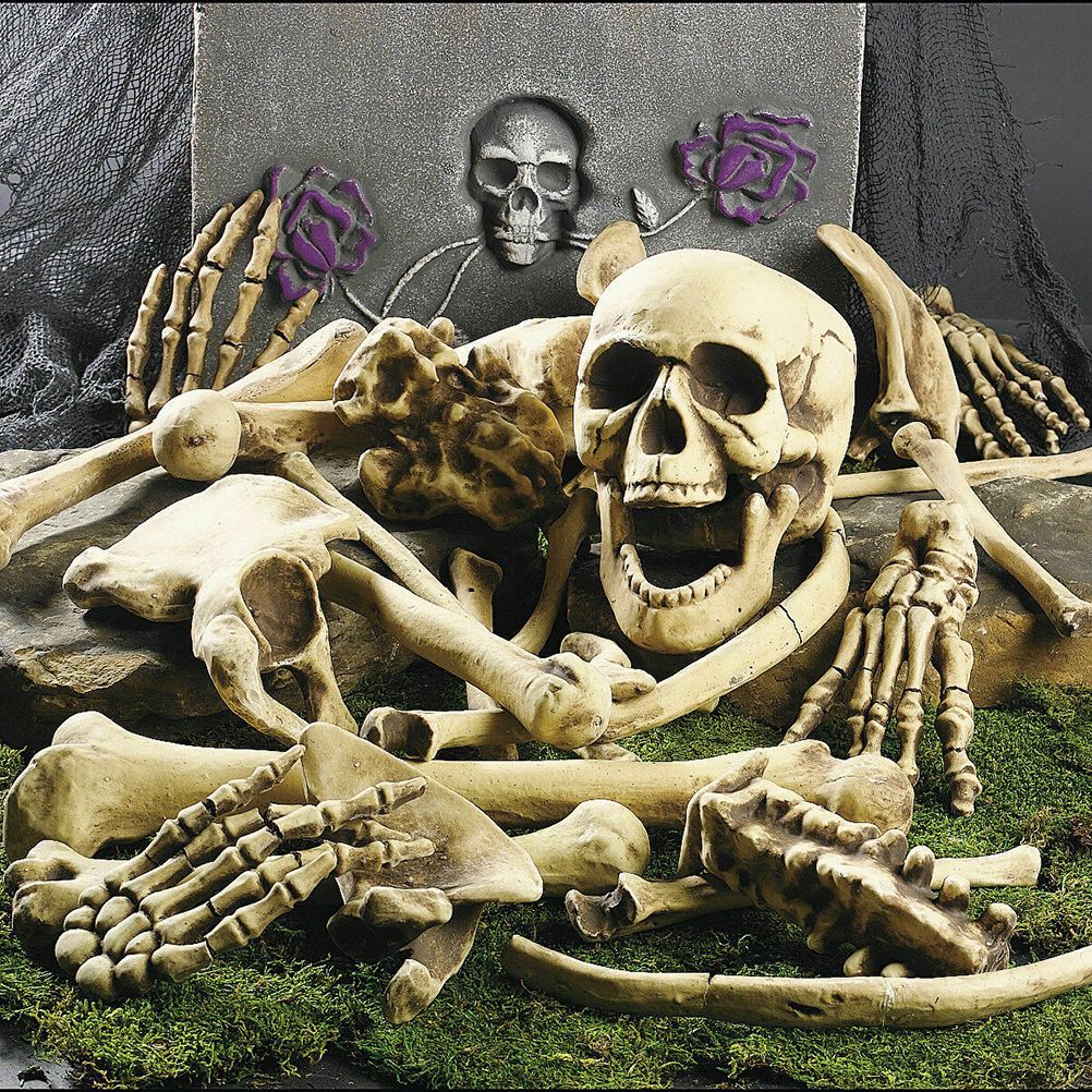 28Pcs Halloween Skeleton Bones Halloween Props Skeleton Tricky Bones Haunted view 2