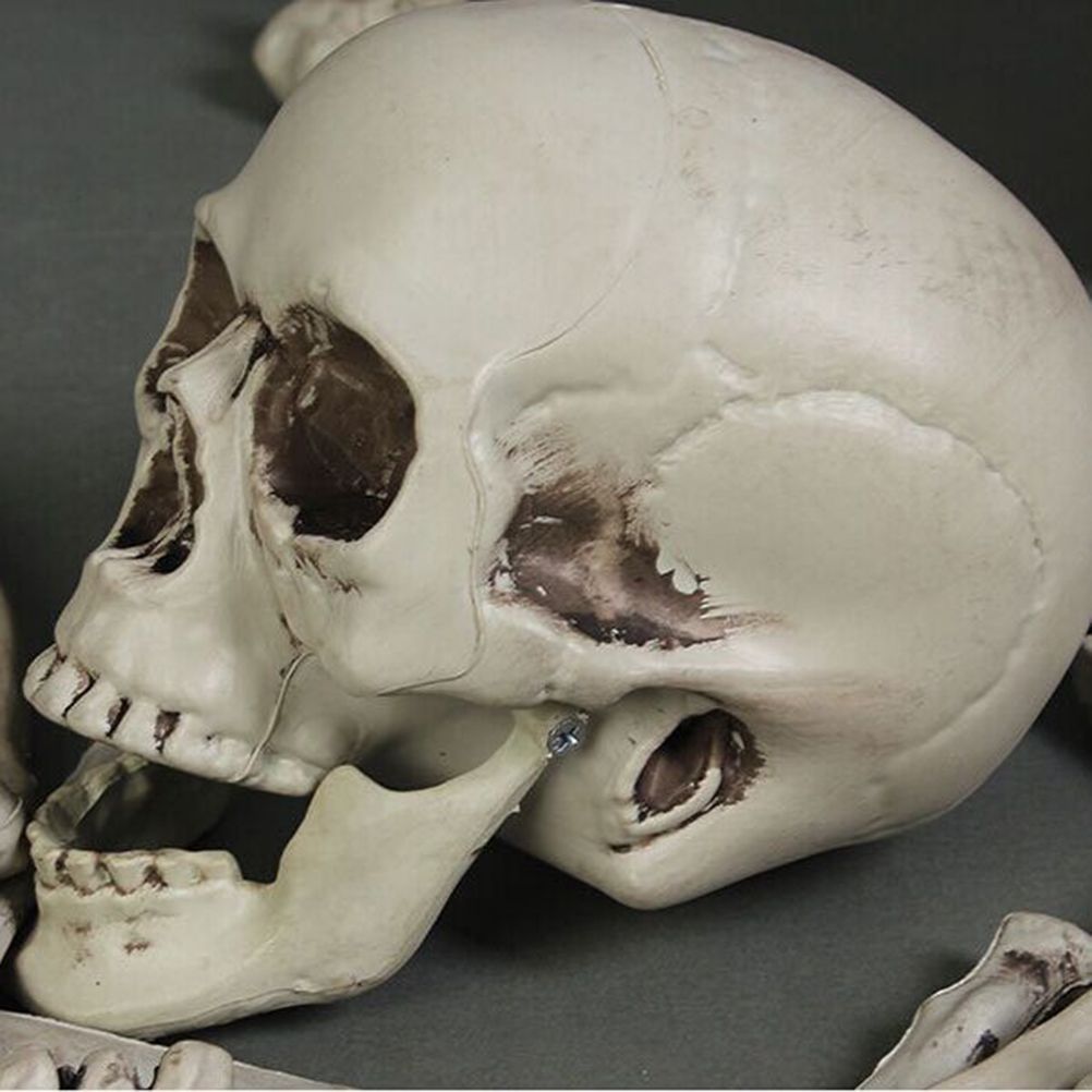 28Pcs Halloween Skeleton Bones Halloween Props Skeleton Tricky Bones Haunted view 6