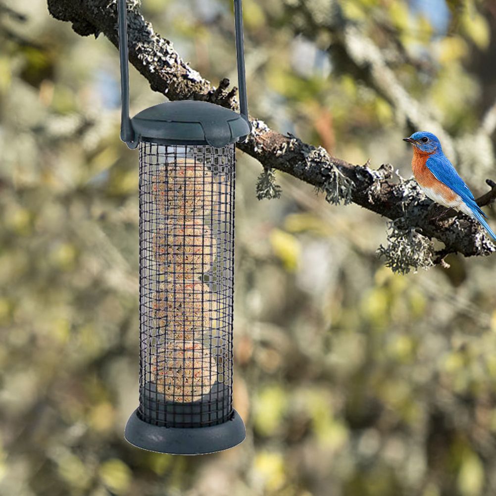 Outdoor Bird Feeder Fat Ball Food Dispenser Wild Bird Hanging Feeder view 7