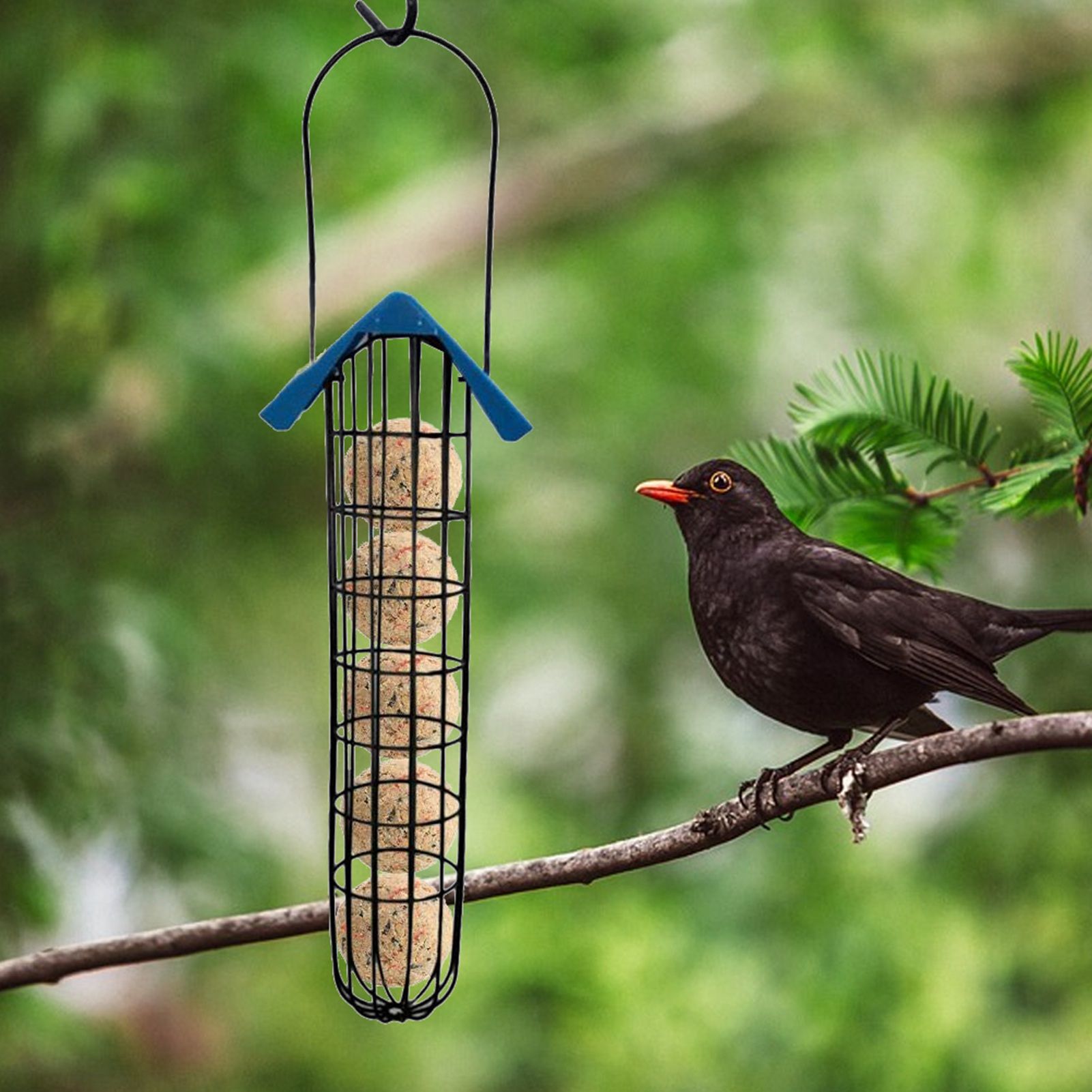 Outdoor Bird Feeder Fat Ball Food Dispenser Wild Bird Hanging Feeder view 5