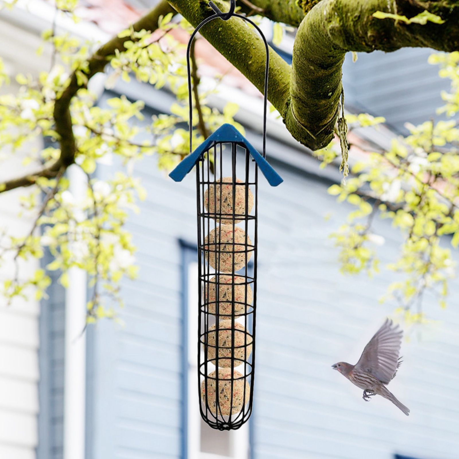 Outdoor Bird Feeder Fat Ball Food Dispenser Wild Bird Hanging Feeder view 6