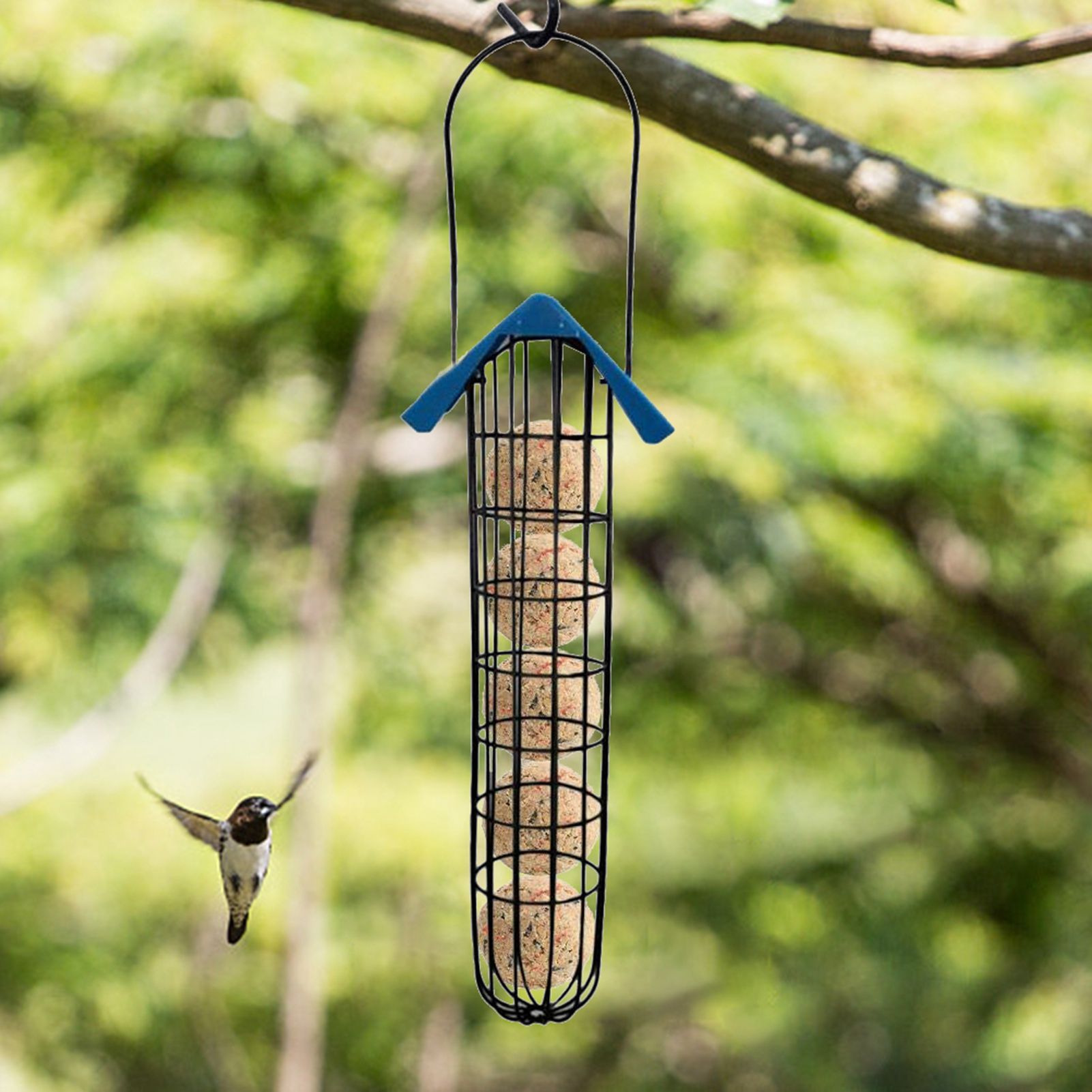 Outdoor Bird Feeder Fat Ball Food Dispenser Wild Bird Hanging Feeder view 7