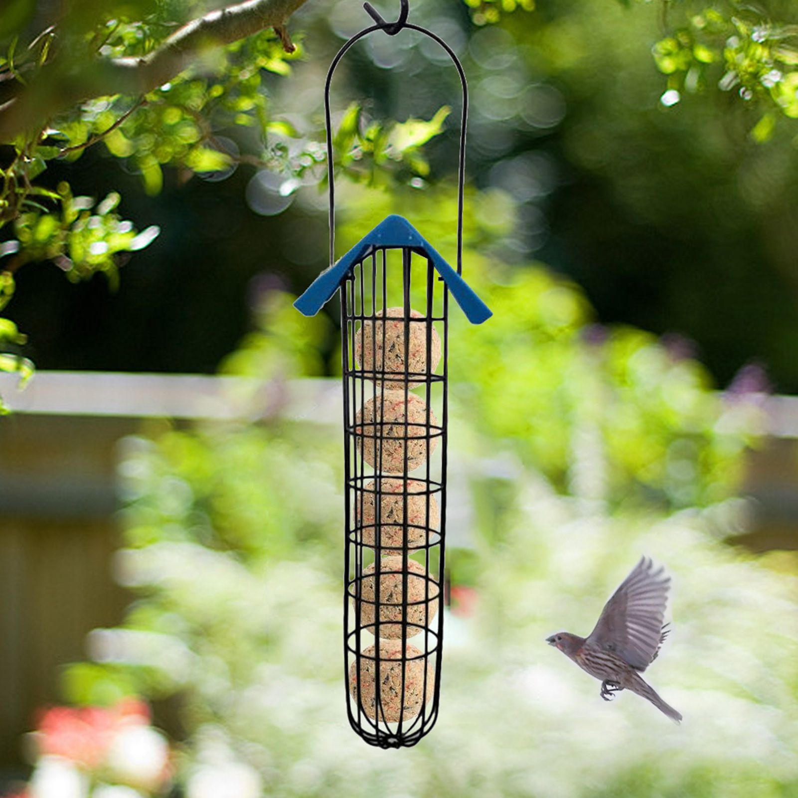 Outdoor Bird Feeder Fat Ball Food Dispenser Wild Bird Hanging Feeder view 8