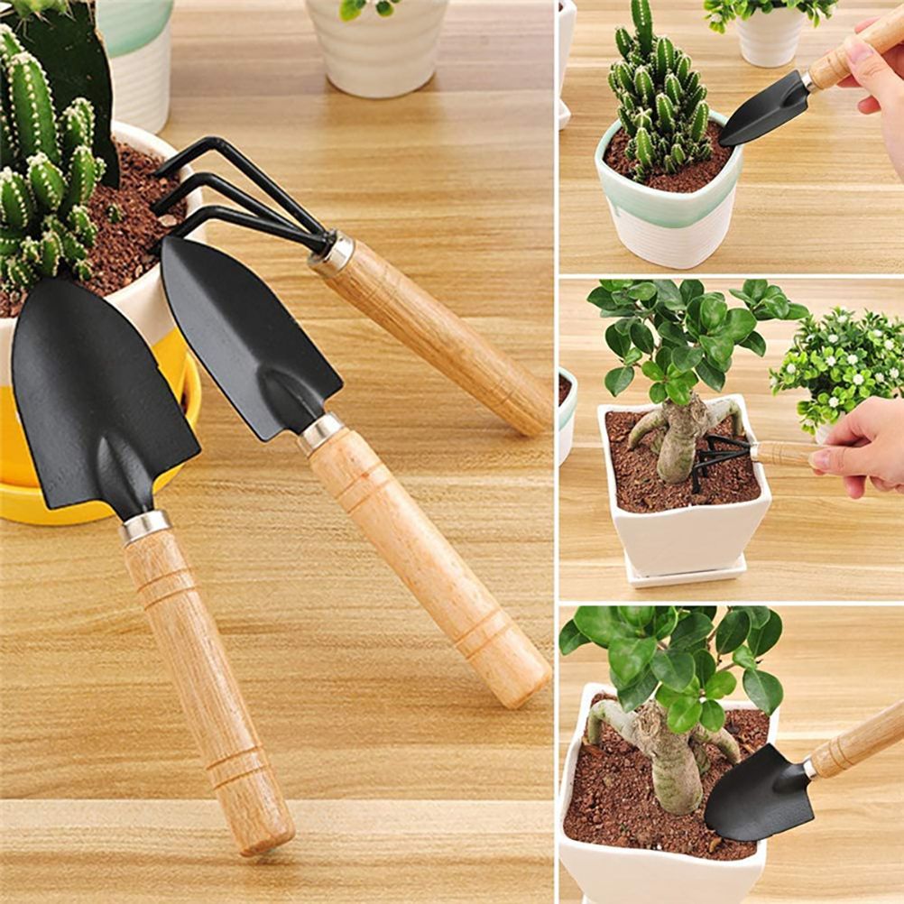 10 Pcs Gardening Bonsai Tools Set Succulent Garden Hand Tool Kit Plant Tool view 3