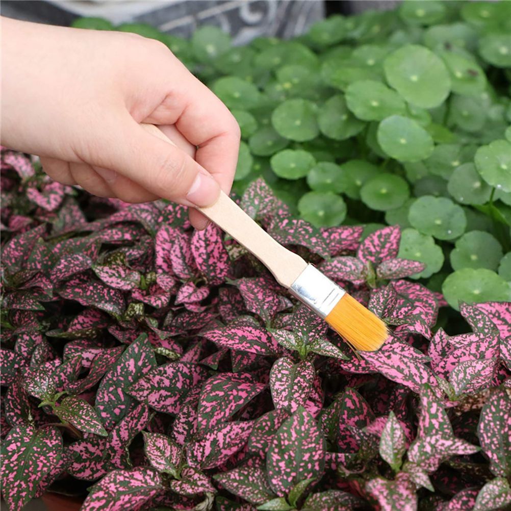 10 Pcs Gardening Bonsai Tools Set Succulent Garden Hand Tool Kit Plant Tool view 4
