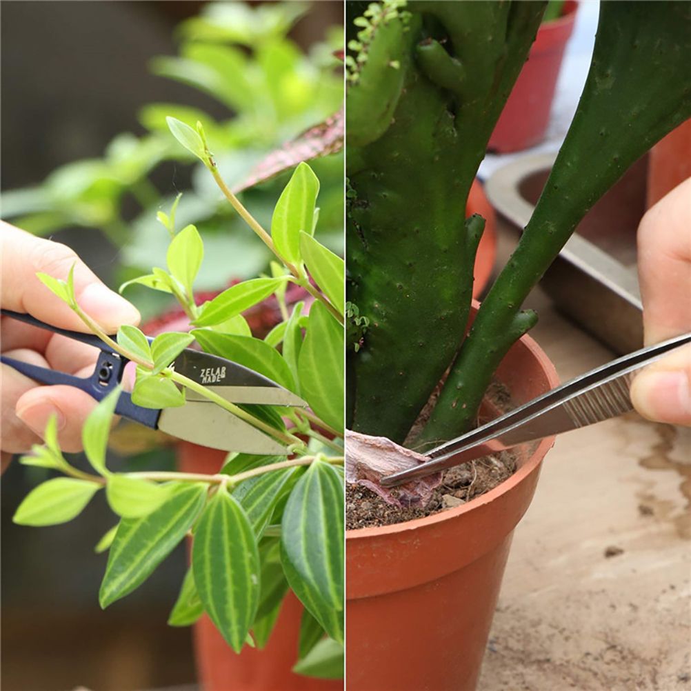 10 Pcs Gardening Bonsai Tools Set Succulent Garden Hand Tool Kit Plant Tool view 5