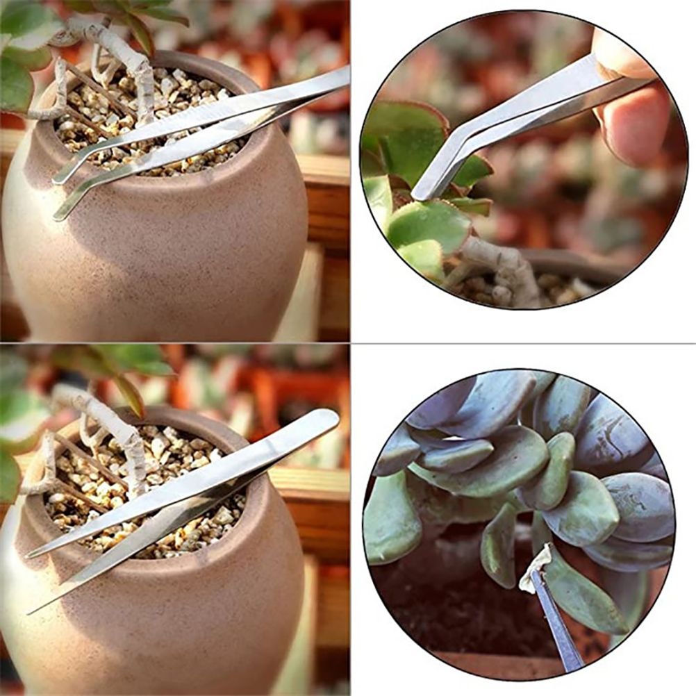 10 Pcs Gardening Bonsai Tools Set Succulent Garden Hand Tool Kit Plant Tool view 7