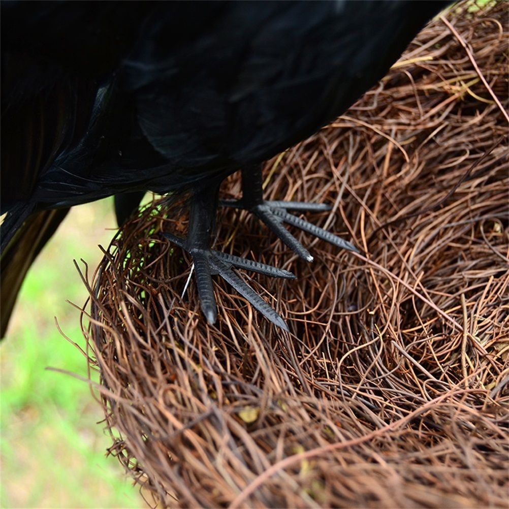 Black Crow Decoration Halloween Realistic Feathered Crows Haunted House Decor view 4