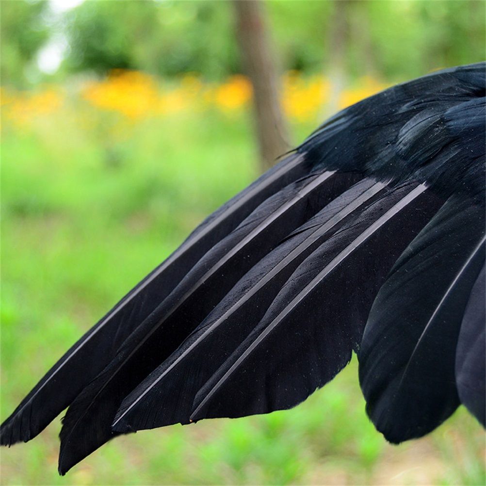 Black Crow Decoration Halloween Realistic Feathered Crows Haunted House Decor view 5