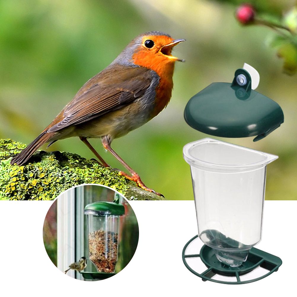 Transparent Bird Feeder Automatic Plastic Bird Feeder with Suction Cups view 3