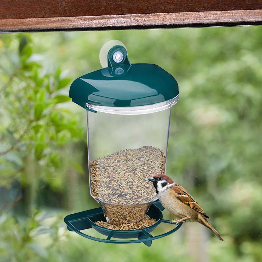 Transparent Bird Feeder Automatic Plastic Bird Feeder with Suction Cups view 7