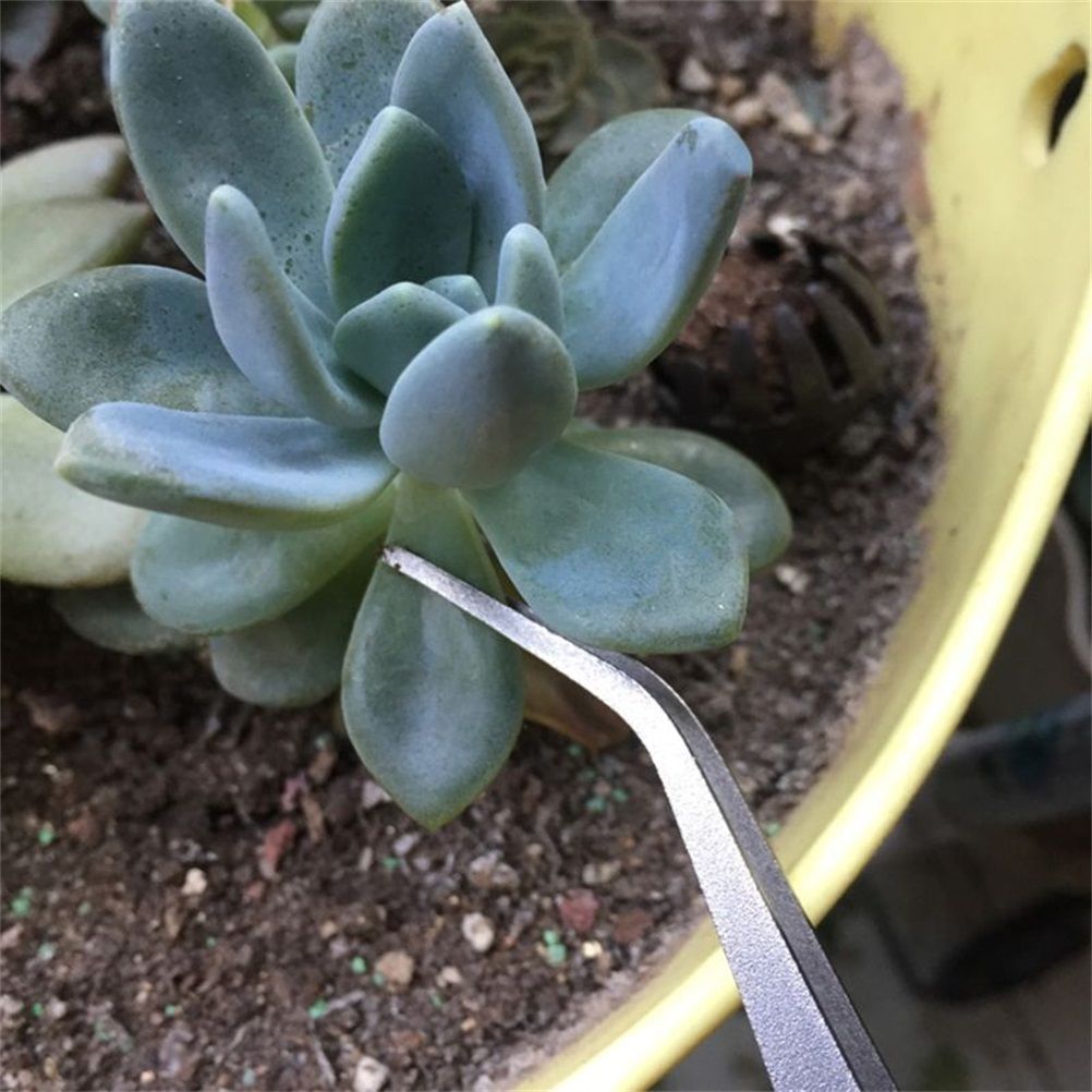 2 in 1 Bonsai Root Rake Stainless Steel Garden Tweezers Garden Tool view 3