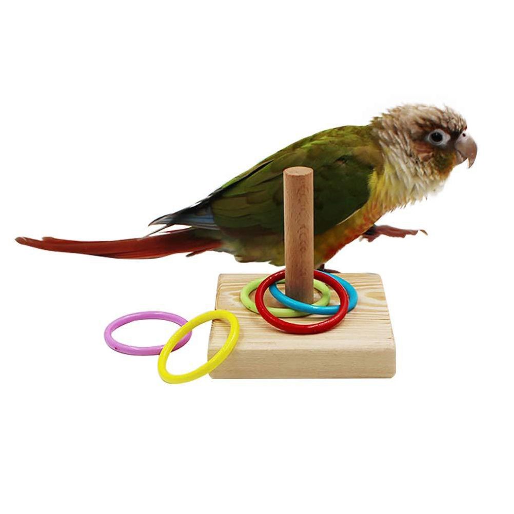 Stacking Ring Bird Toy Bird Trick Tabletop Toy Small Rings Toy Set for Parrots view 4