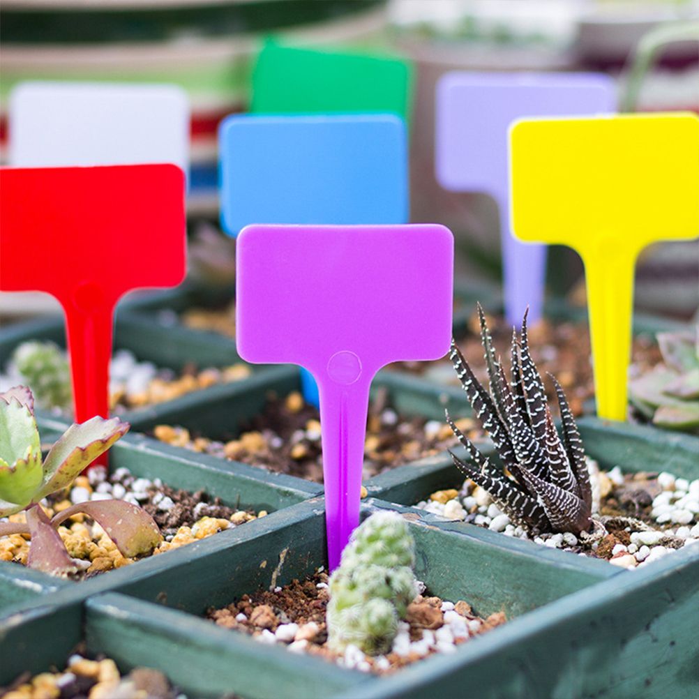 100Pcs Random Plastic Plant Tags Waterproof Nursery T Type Garden Labels Plant view 6
