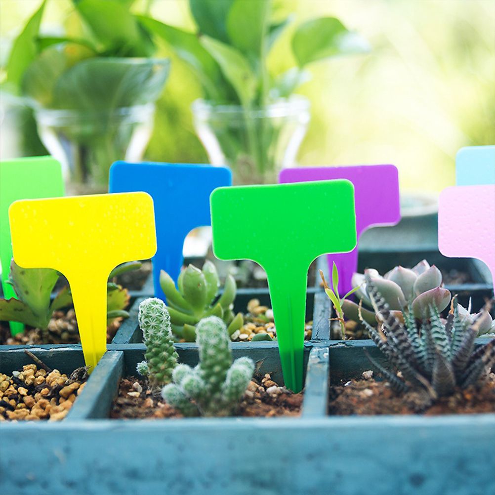 100Pcs Random Plastic Plant Tags Waterproof Nursery T Type Garden Labels Plant view 7