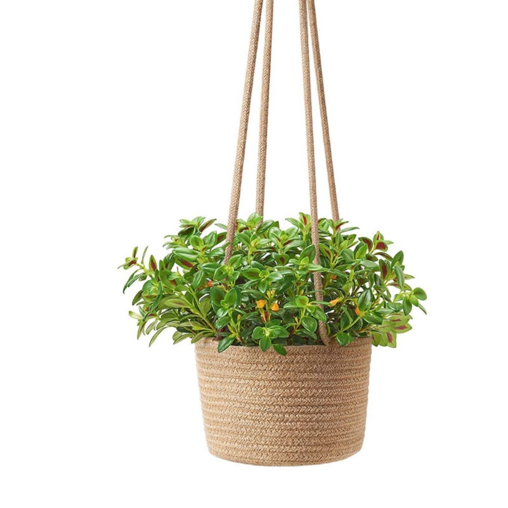 2PCS Braided Plant Basket Hanging Plant Pots Plant Hanger Plant Basket Wall view 4