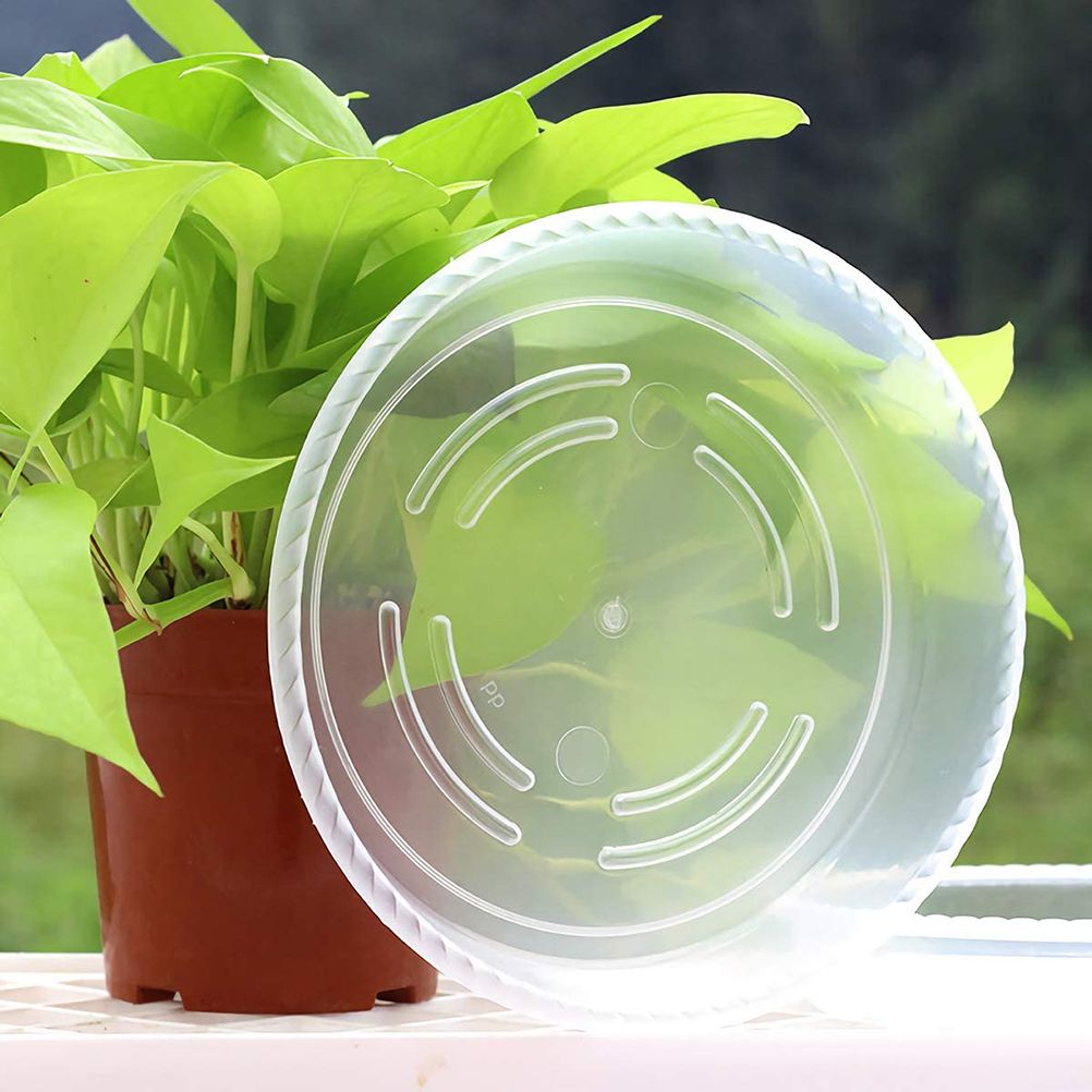 10 pcs Clear Plant Saucers Plastic Flower Pot Drip Trays for Indoors Outdoors view 3