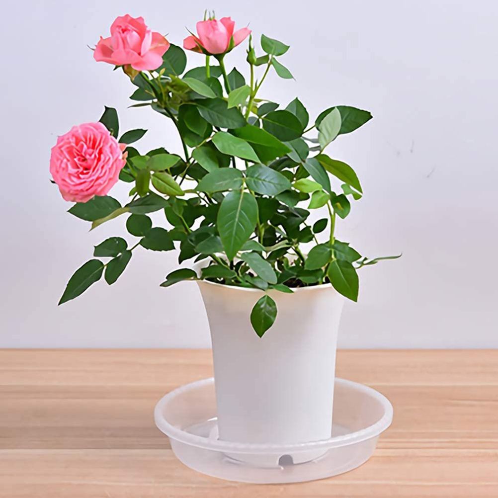10 pcs Clear Plant Saucers Plastic Flower Pot Drip Trays for Indoors Outdoors view 4