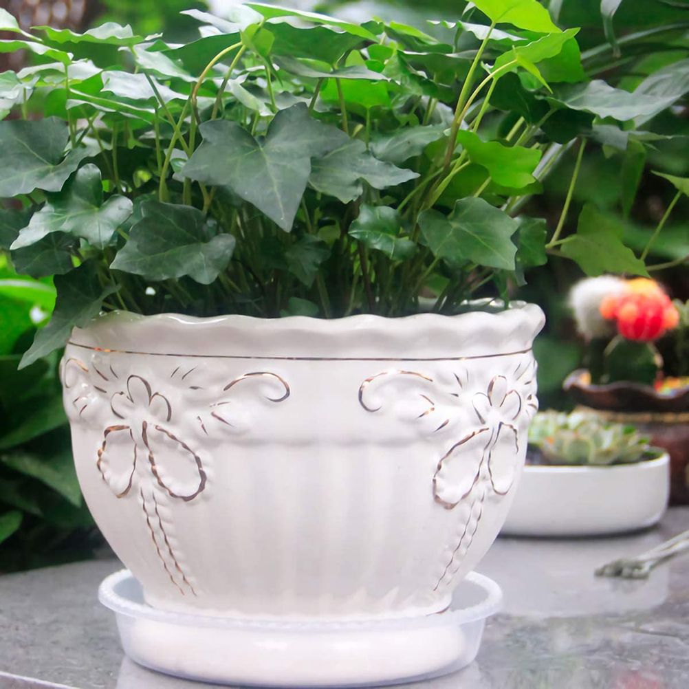 10 pcs Clear Plant Saucers Plastic Flower Pot Drip Trays for Indoors Outdoors view 7