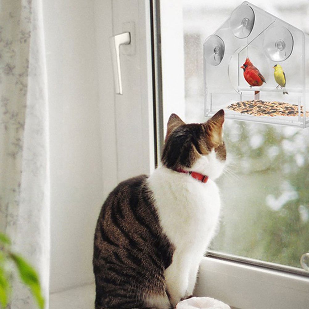 Clear Glass Window Bird Feeding Window Bird Feeders Clear Acrylic Glass Window view 8
