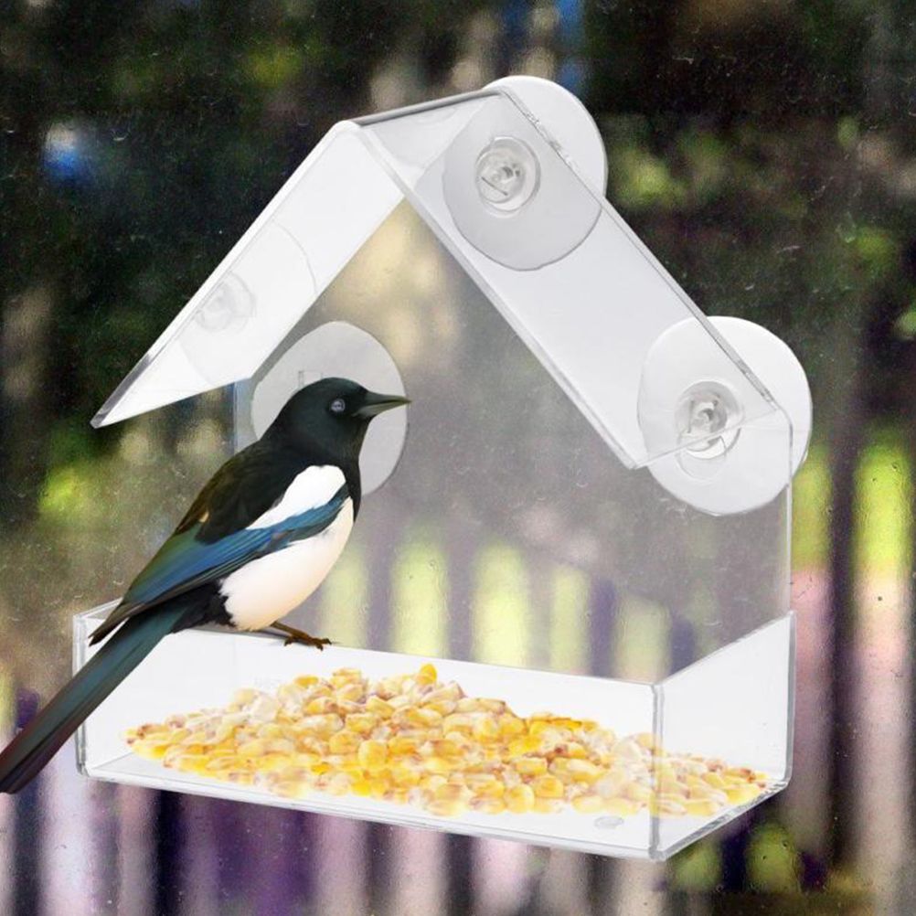 Clear Glass Window Bird Feeding Window Bird Feeders Clear Acrylic Glass Window view 9