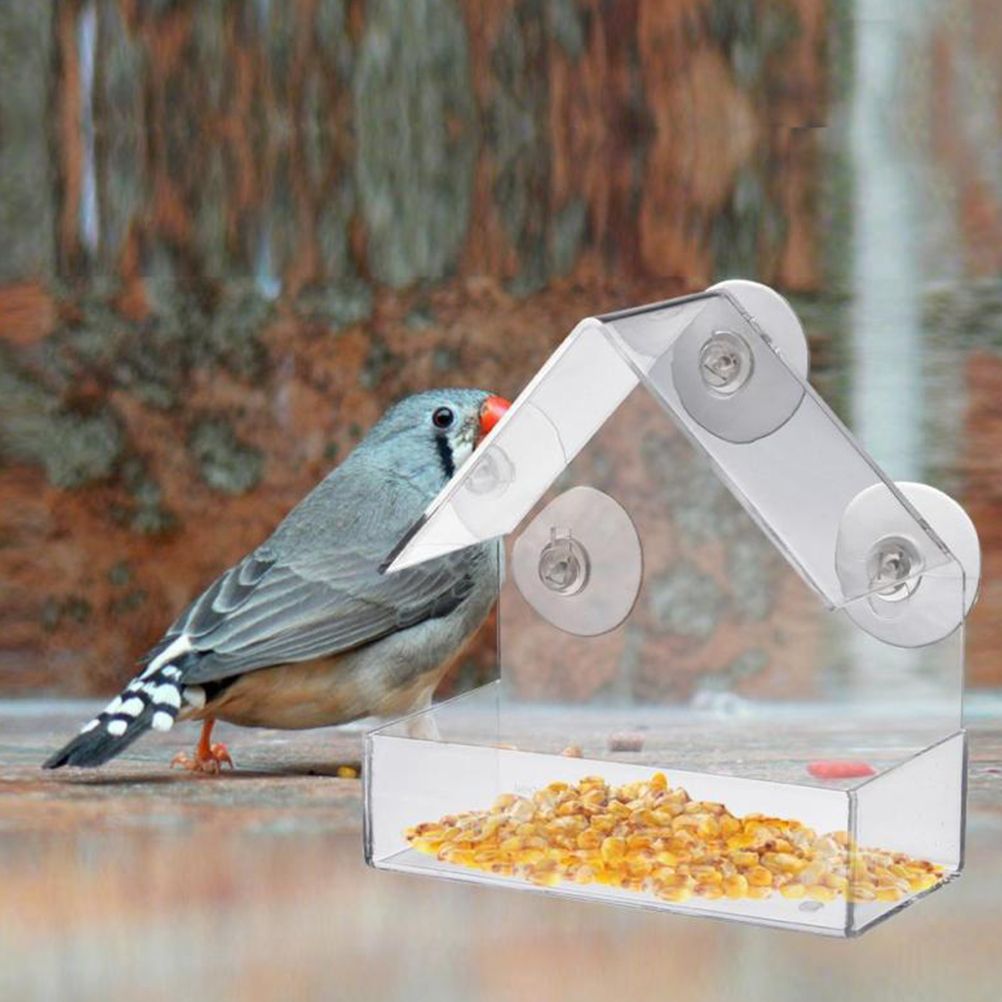 Clear Glass Window Bird Feeding Window Bird Feeders Clear Acrylic Glass Window view 11