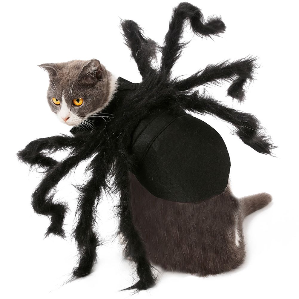 Pet Spider Costume Halloween Pet Spider Clothes Dog Cat Horror Simulation view 3