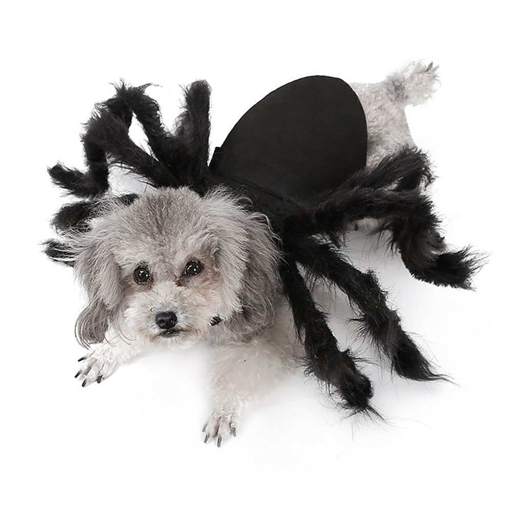 Pet Spider Costume Halloween Pet Spider Clothes Dog Cat Horror Simulation view 4