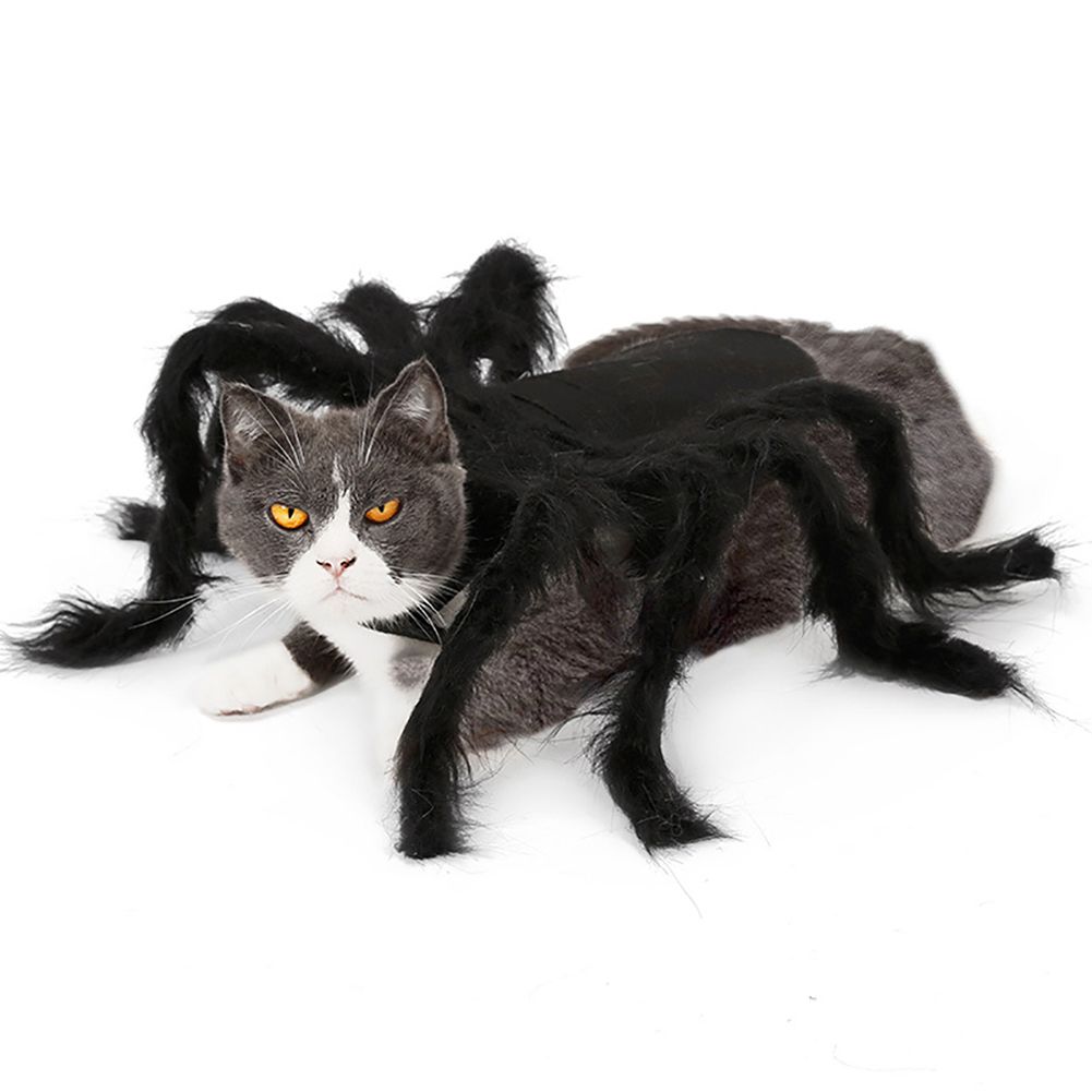 Pet Spider Costume Halloween Pet Spider Clothes Dog Cat Horror Simulation view 6